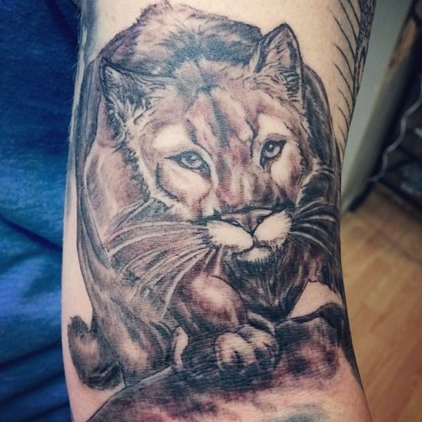 a puma tattoo