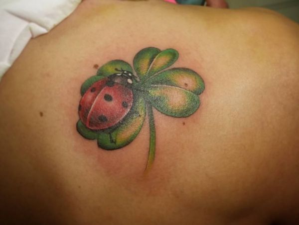 18 cute ladybug tattoo concepts - footage and which means