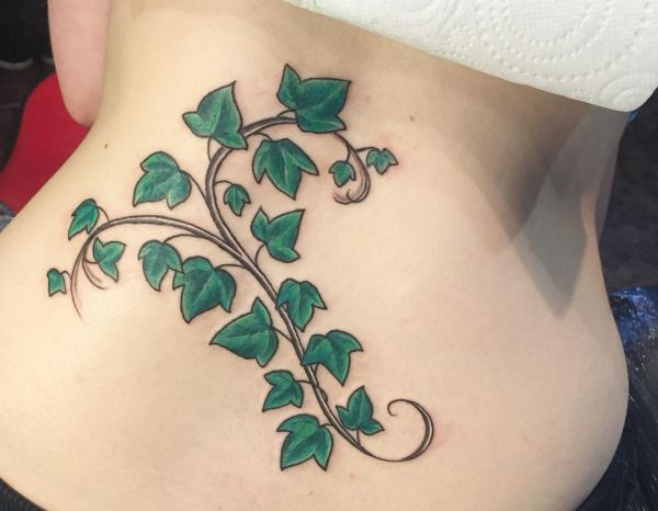 Ivy Tattoo - Its which means and 12 concepts