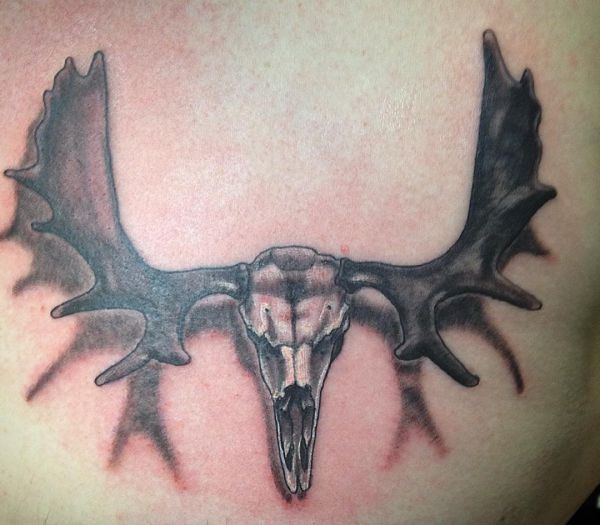 24 mysterious moose tattoos and meanings