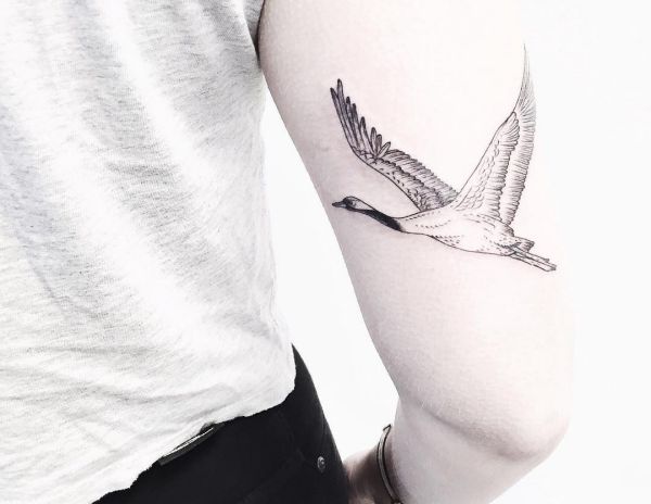 19 stunning crane tattoos and their meanings
