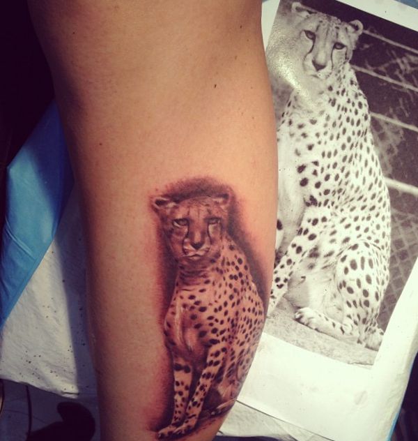 Cheetah Tattoos: Designs and Meanings