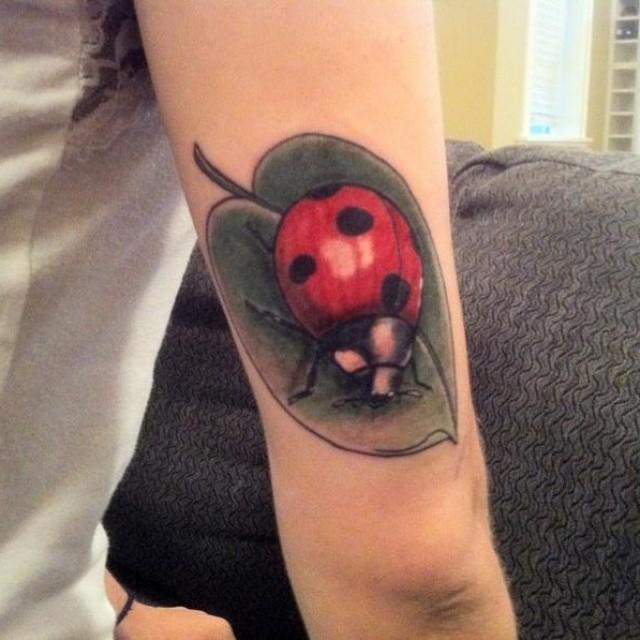 50 Tattoos of Ladybugs