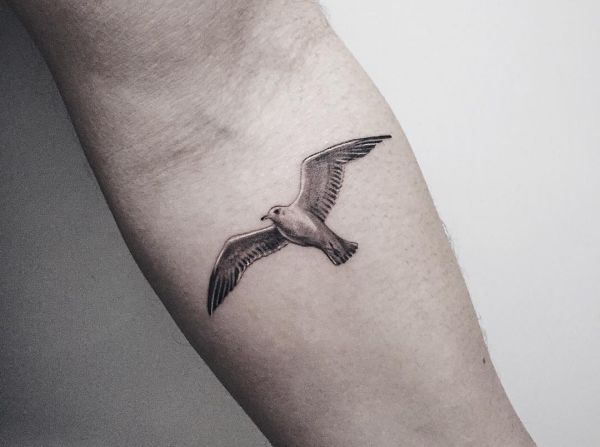 17 seagull tattoos and the meanings