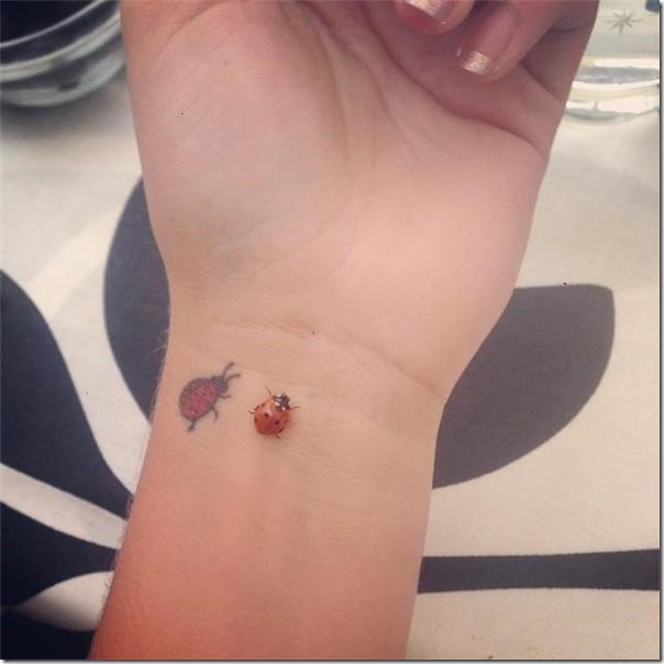 Ladybug tattoos