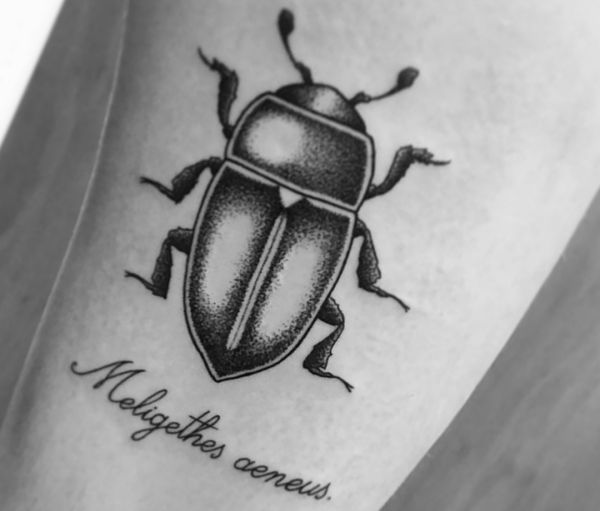 Beetle Tattoos: Designs and meanings
