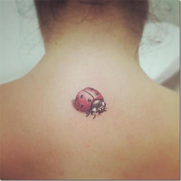 Ladybug tattoos