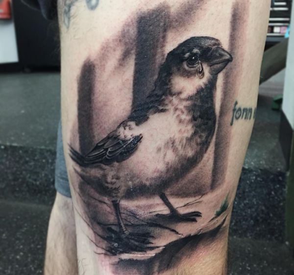 sparrow tattoo meaning