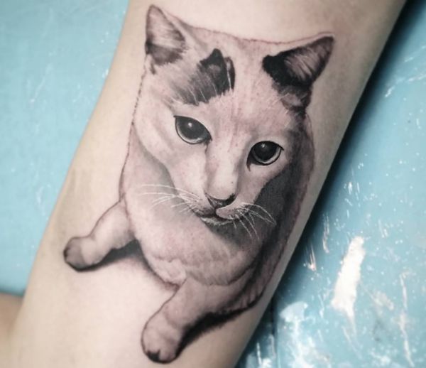 30 katter tatovering konsepter med betydninger