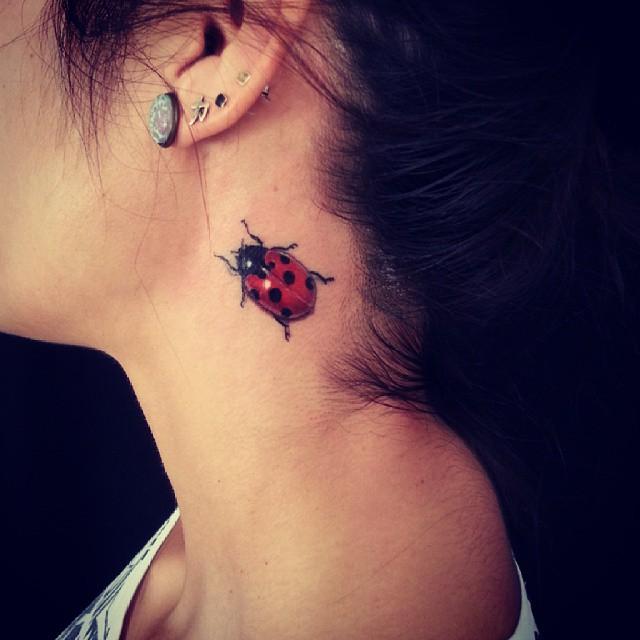 50 Tattoos of Ladybugs