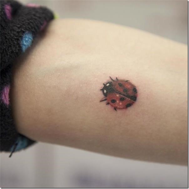 Ladybug tattoos