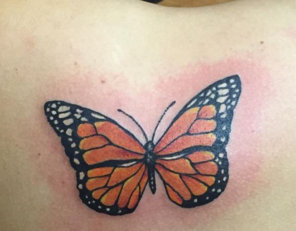 Butterfly Tattoo Designs with Meanings - 40 Concepts