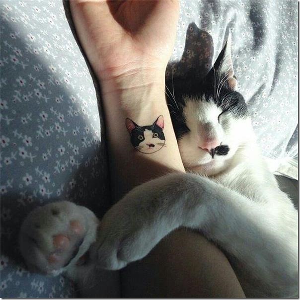 Tattoos for cat lovers