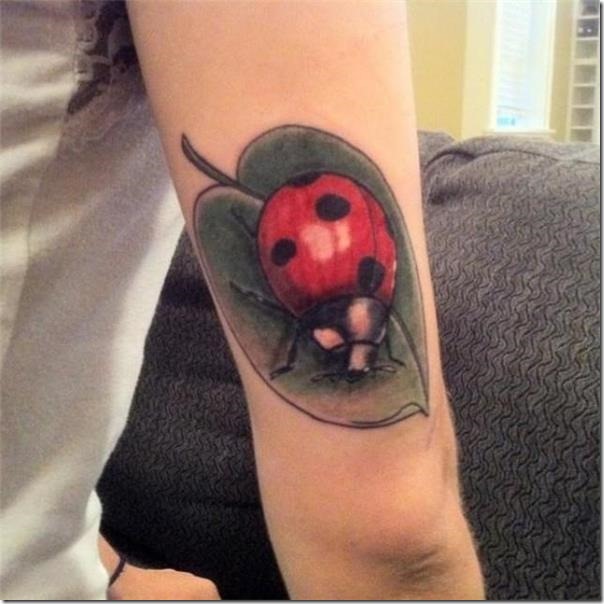 Ladybug tattoos