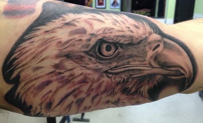 20 Stunning Bald Eagles Tattoos