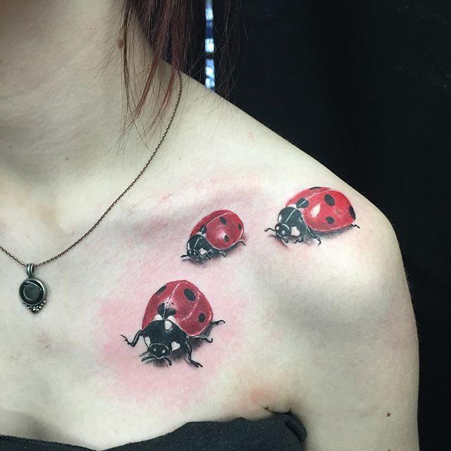 50 Tattoos of Ladybugs