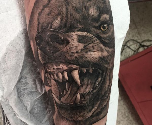 26 Wolf Tattoo Concepts - Footage and That means