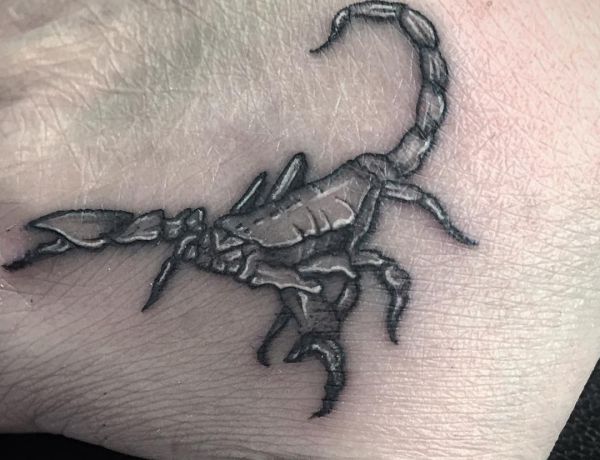 Scorpio Tattoo Designs with Meanings - 16 Concepts