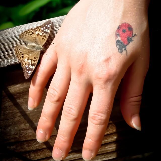 50 Tattoos of Ladybugs