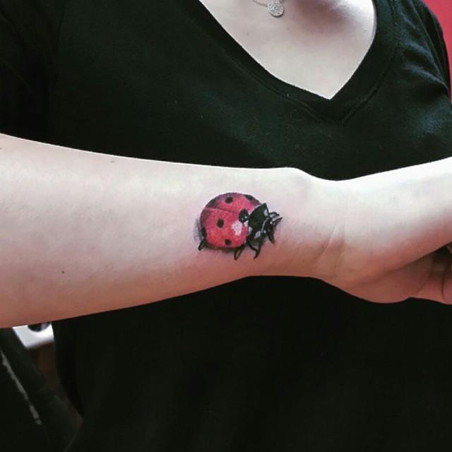 50 Tattoos of Ladybugs