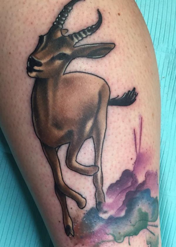 Gazelle and deer tattoos: 20 concepts with that means