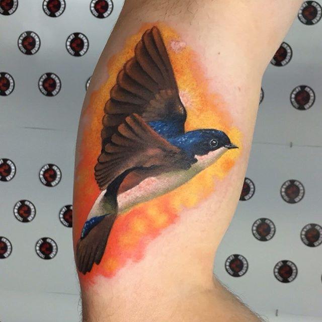 60 Swallow Tattoos