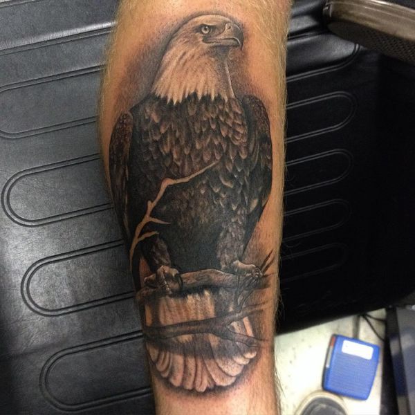 20 Stunning Bald Eagles Tattoos