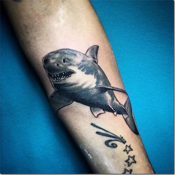 Sharks Tattoos (the most effective footage!)
