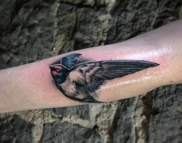 Sparrows Tattoos and meanings