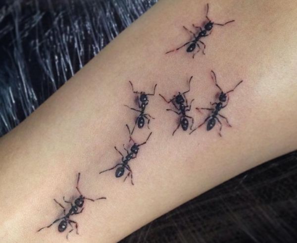 Ants Tattoos: meanings and concepts