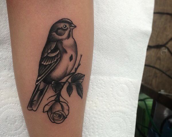 Sparrows Tattoos and meanings