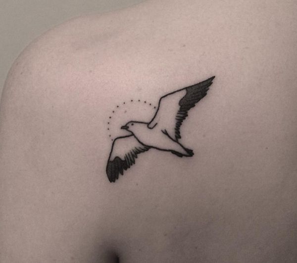 17 seagull tattoos and the meanings