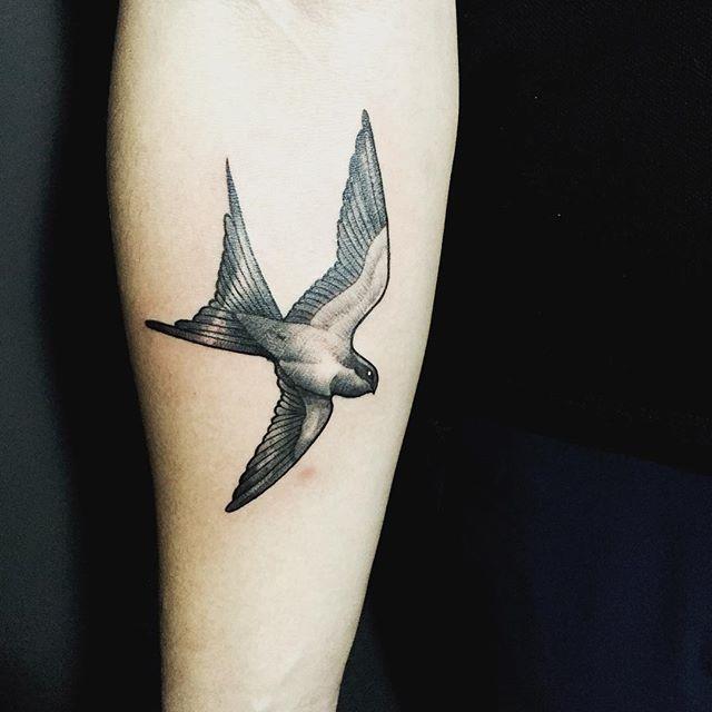 60 Swallow Tattoos