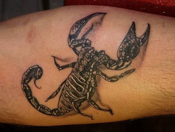 Scorpio Tattoo Designs with Meanings - 16 Concepts