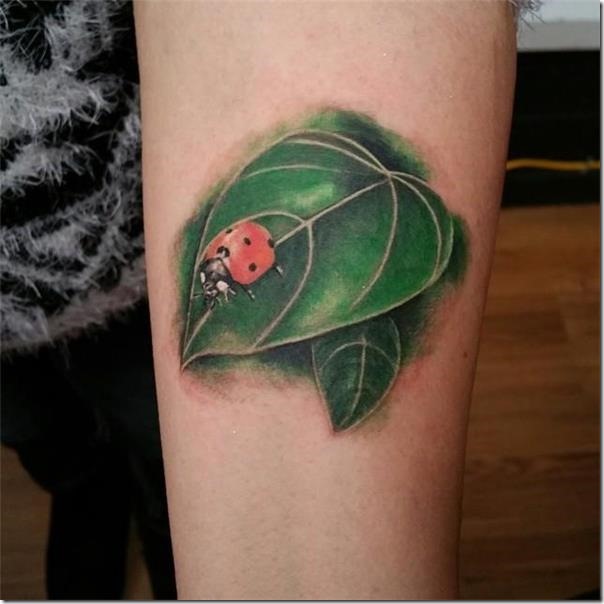 Ladybug tattoos