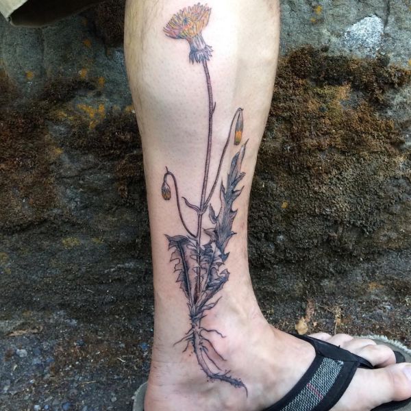 Dandelion (dandelion) tattoo - that means and 20 cool designs - Nexttattoos