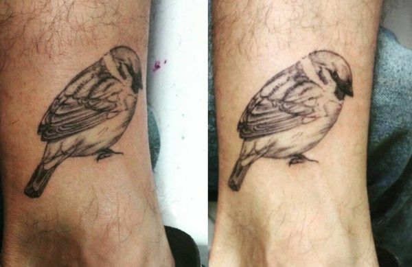 Sparrows Tattoos and meanings