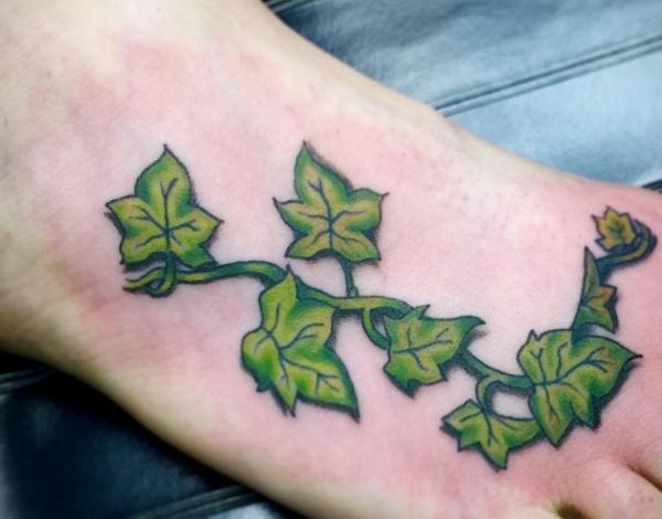 Ivy Tattoo Its Which Means And 12 Concepts Nexttattoos 5235