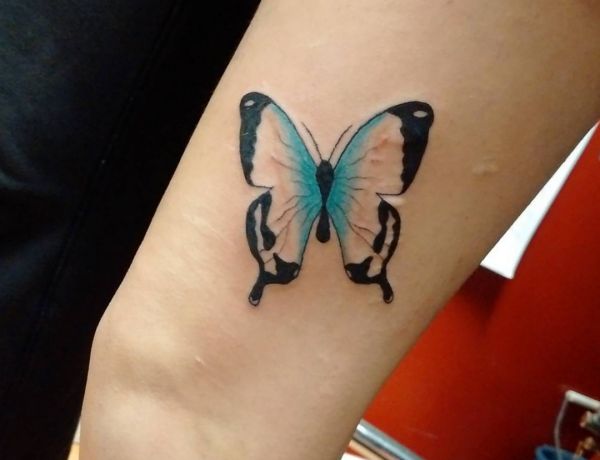 Butterfly Tattoo Designs With Meanings 40 Concepts Nexttattoos