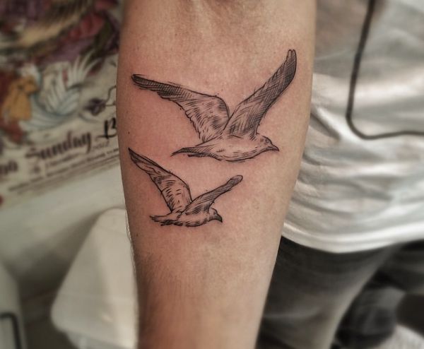 17 seagull tattoos and the meanings