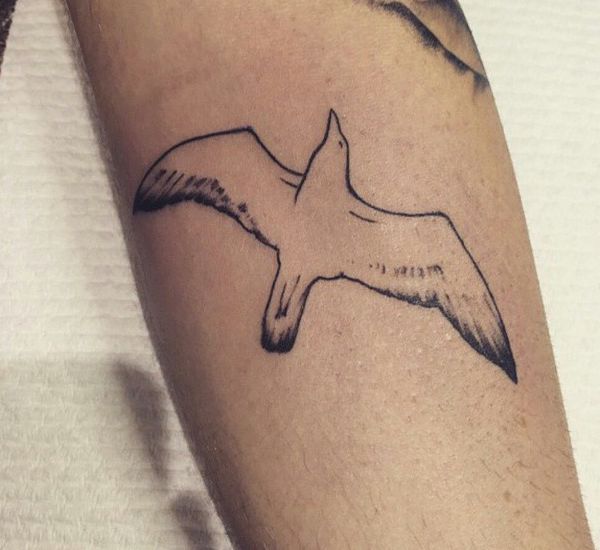 17 seagull tattoos and the meanings