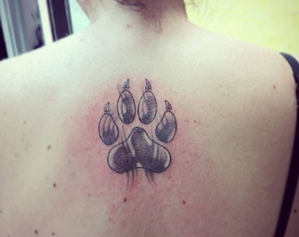 33 paws tattoo concepts - photos and that means