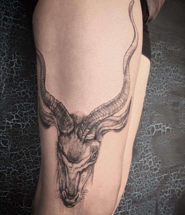 Gazelle and deer tattoos: 20 concepts with that means