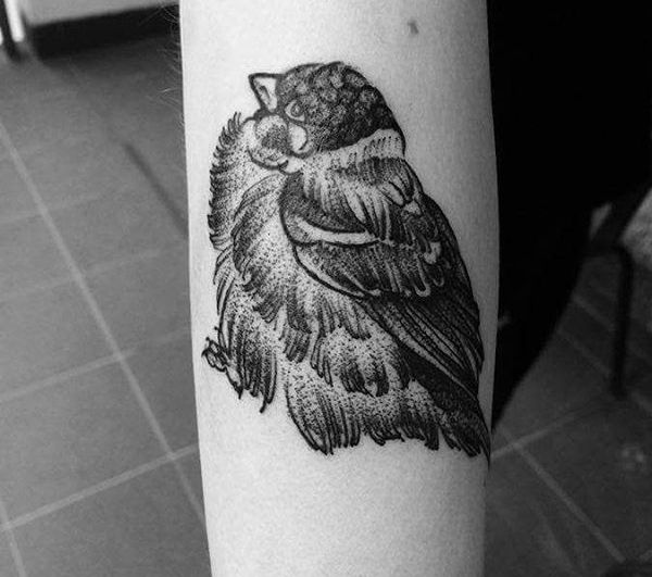 Sparrows Tattoos and meanings