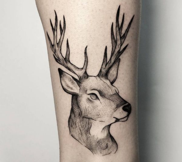 20 deer tattoo concepts - footage and which means