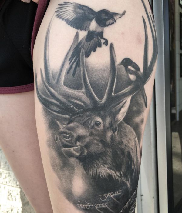 24 mysterious moose tattoos and meanings