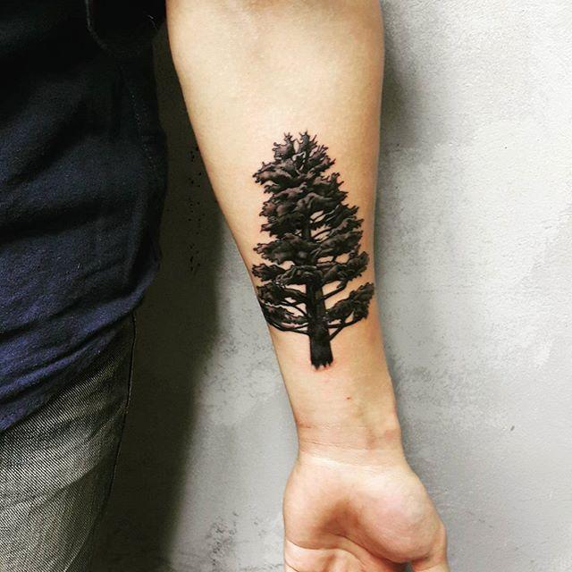 65 Tattoos of timber