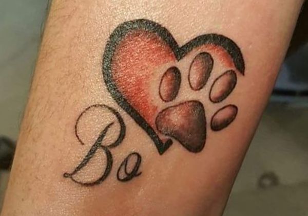 33 paws tattoo concepts - photos and that means