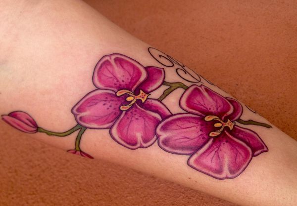 Orchid Tattoos - 25 Concepts, Meanings and Designs