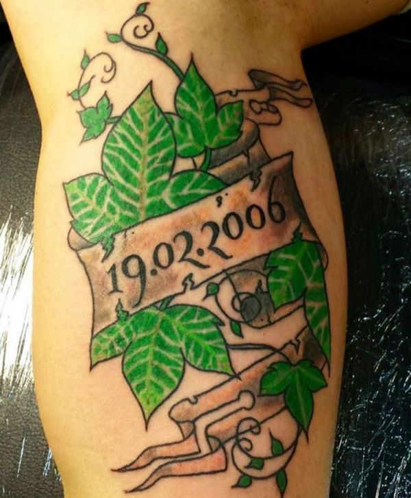 Ivy Tattoo - Its which means and 12 concepts - Nexttattoos